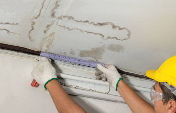 Reliable Structural Drying contractor in San Rafael, NM by Water Damage Irwin